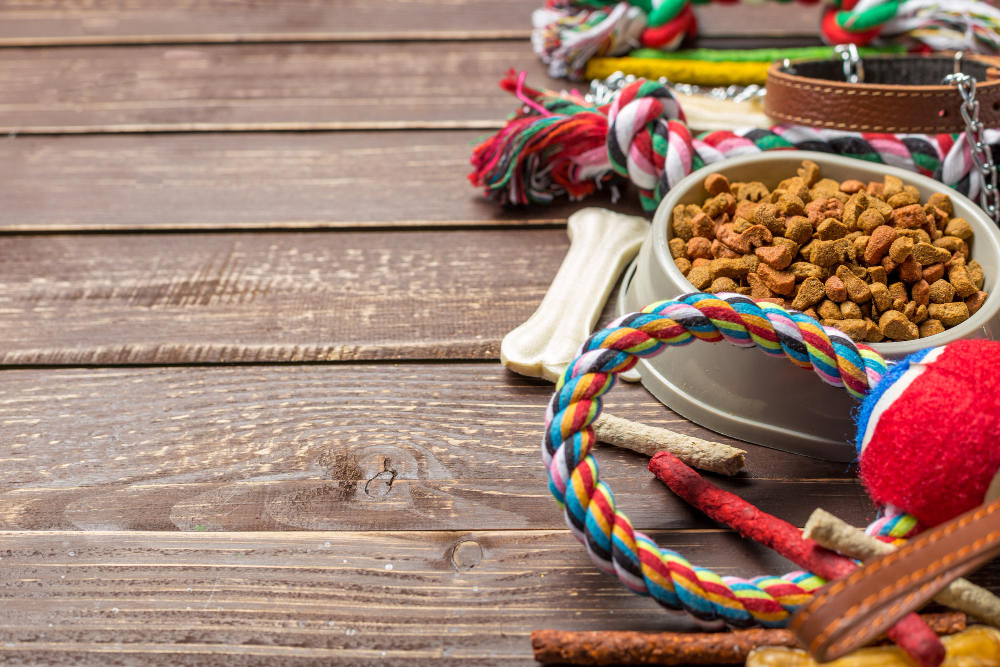 Sicurezza e Stile: I Migliori Accessori per Cani per Tutte le Stagioni e Occasioni