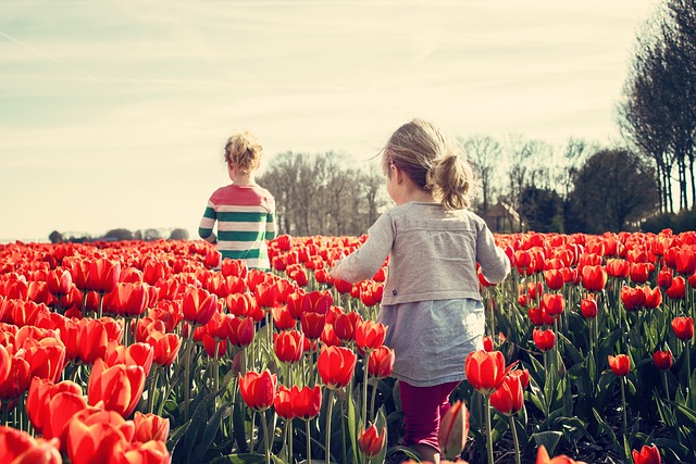 Oasi in città: la gioia di vivere in una casa con giardino a Torino